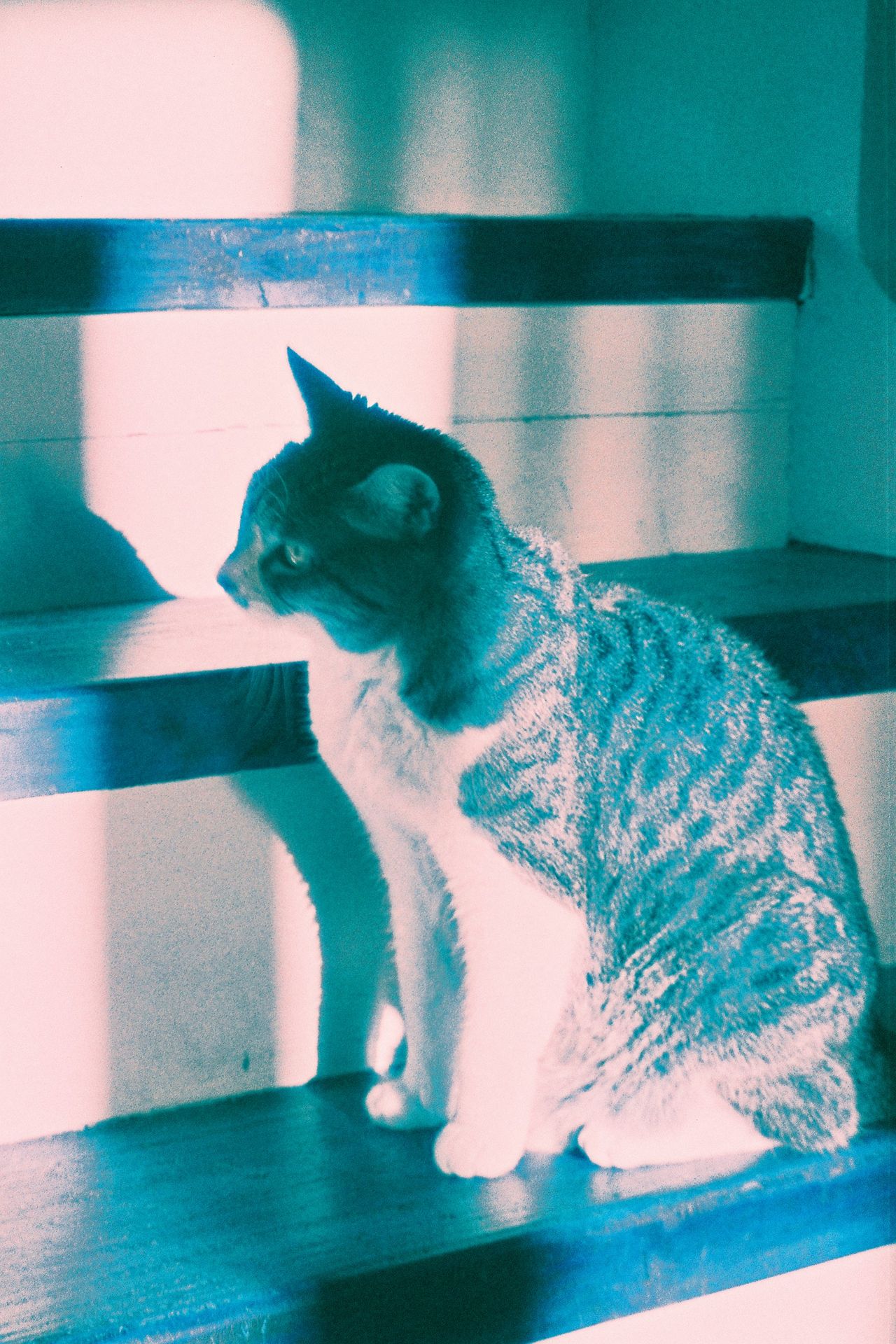 Test Harman switsh Azure chat