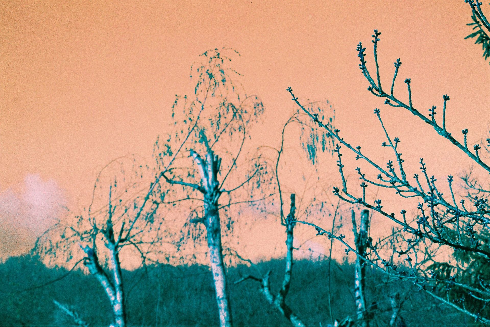 Test Harman switsh Azure paysage