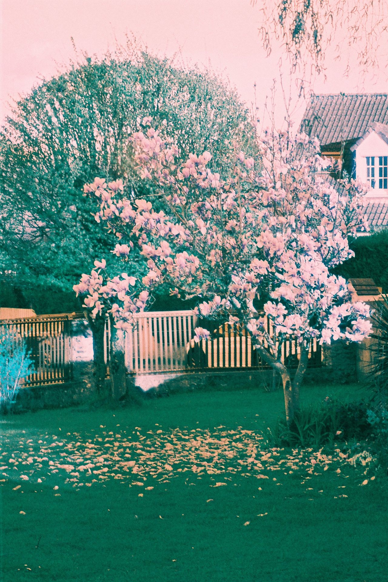 Test Harman switsh Azure paysage