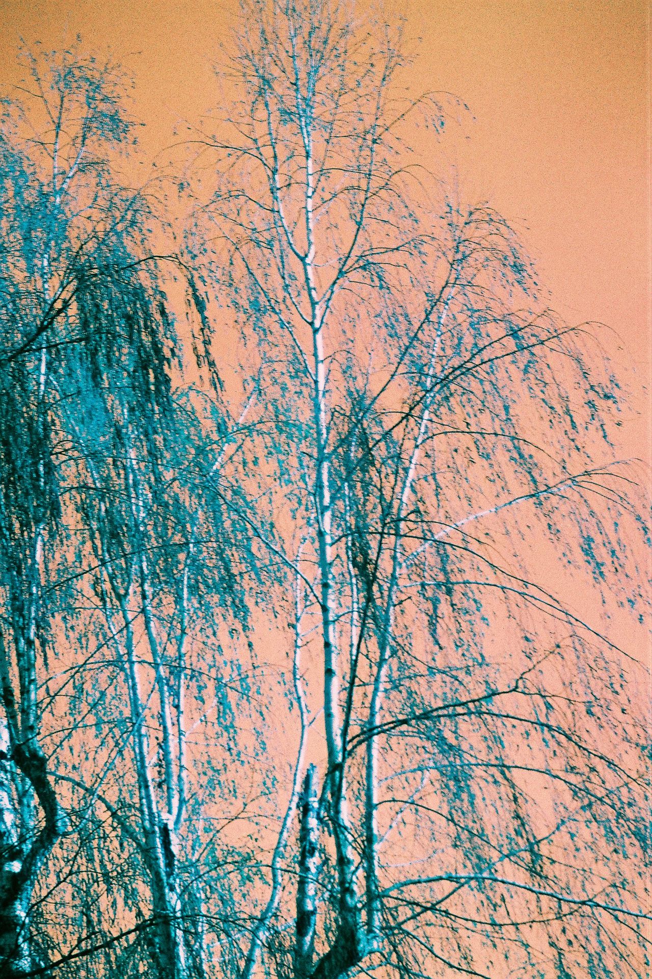 Test Harman switsh Azure paysage