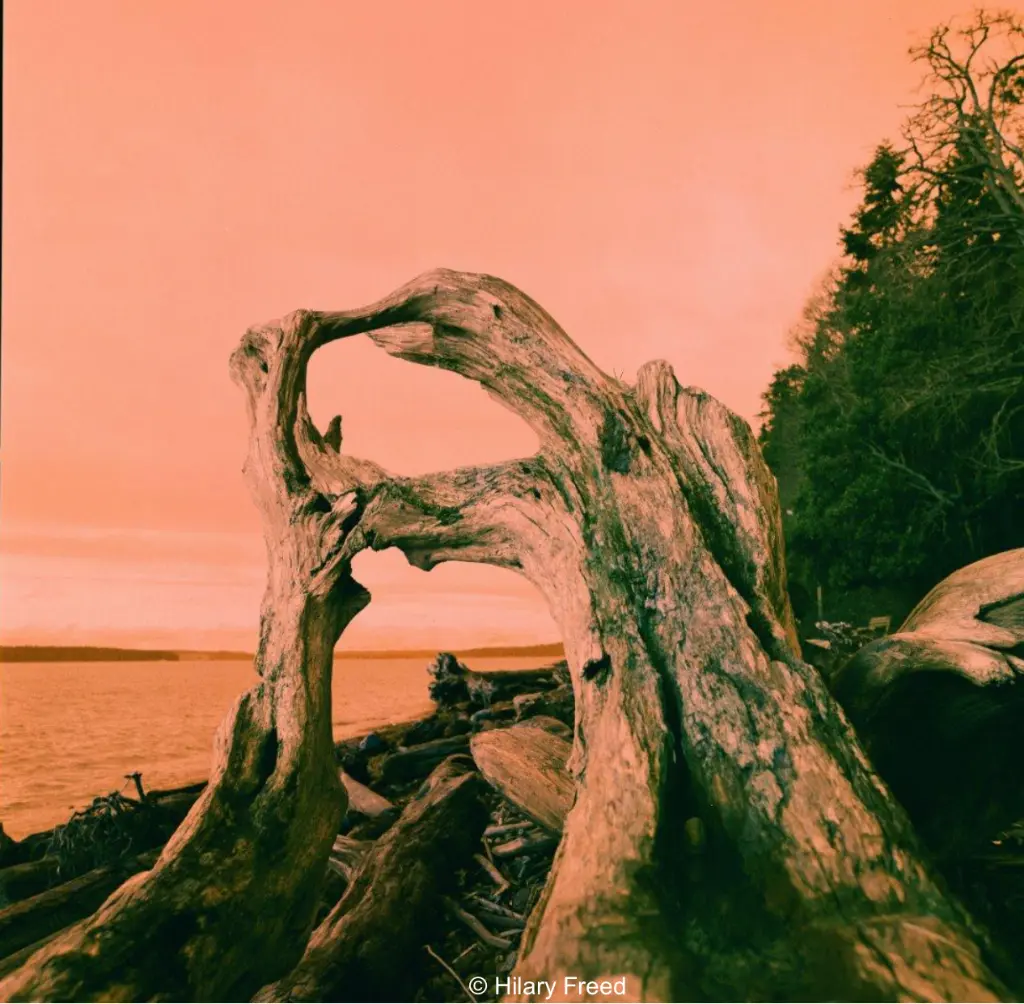 Capture d’écran 2026-03-05 à 10.28.55.webp