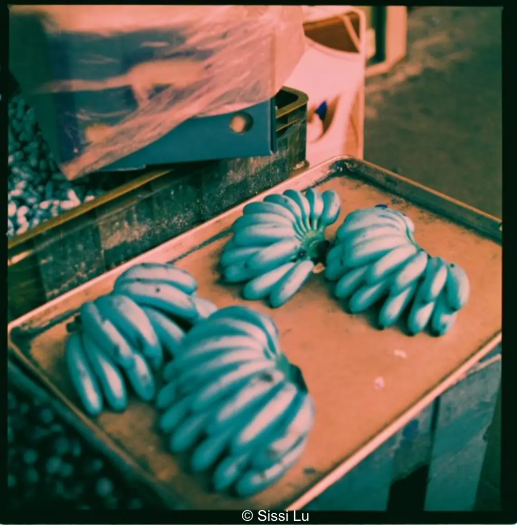 Capture d’écran 2026-03-05 à 10.34.38.webp