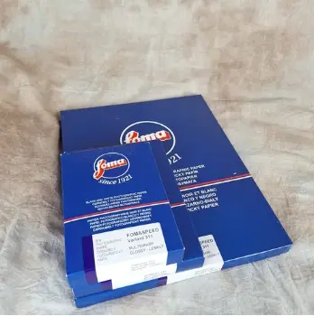 Foma Fomaspeed Variant 311 Glossy 12,7x17,8 / 100