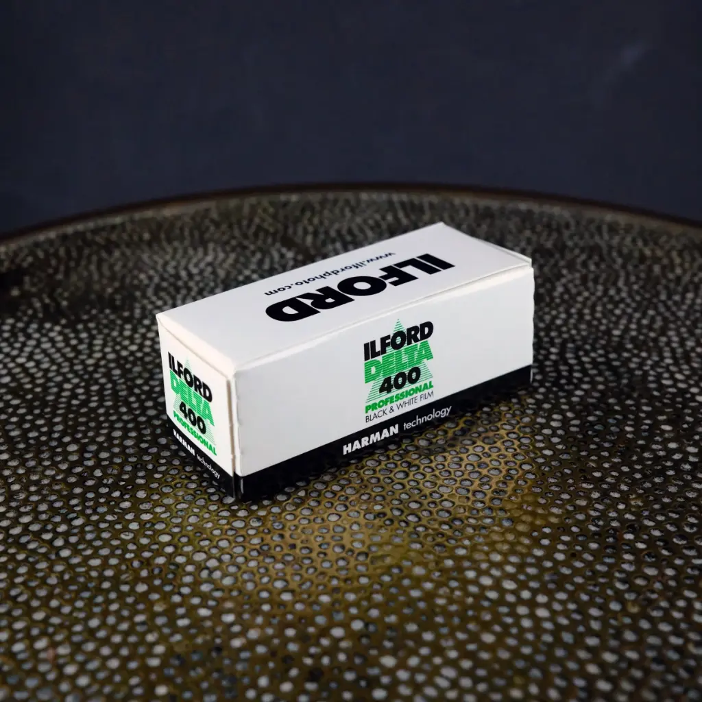 Ilford Delta 400 Professional 120