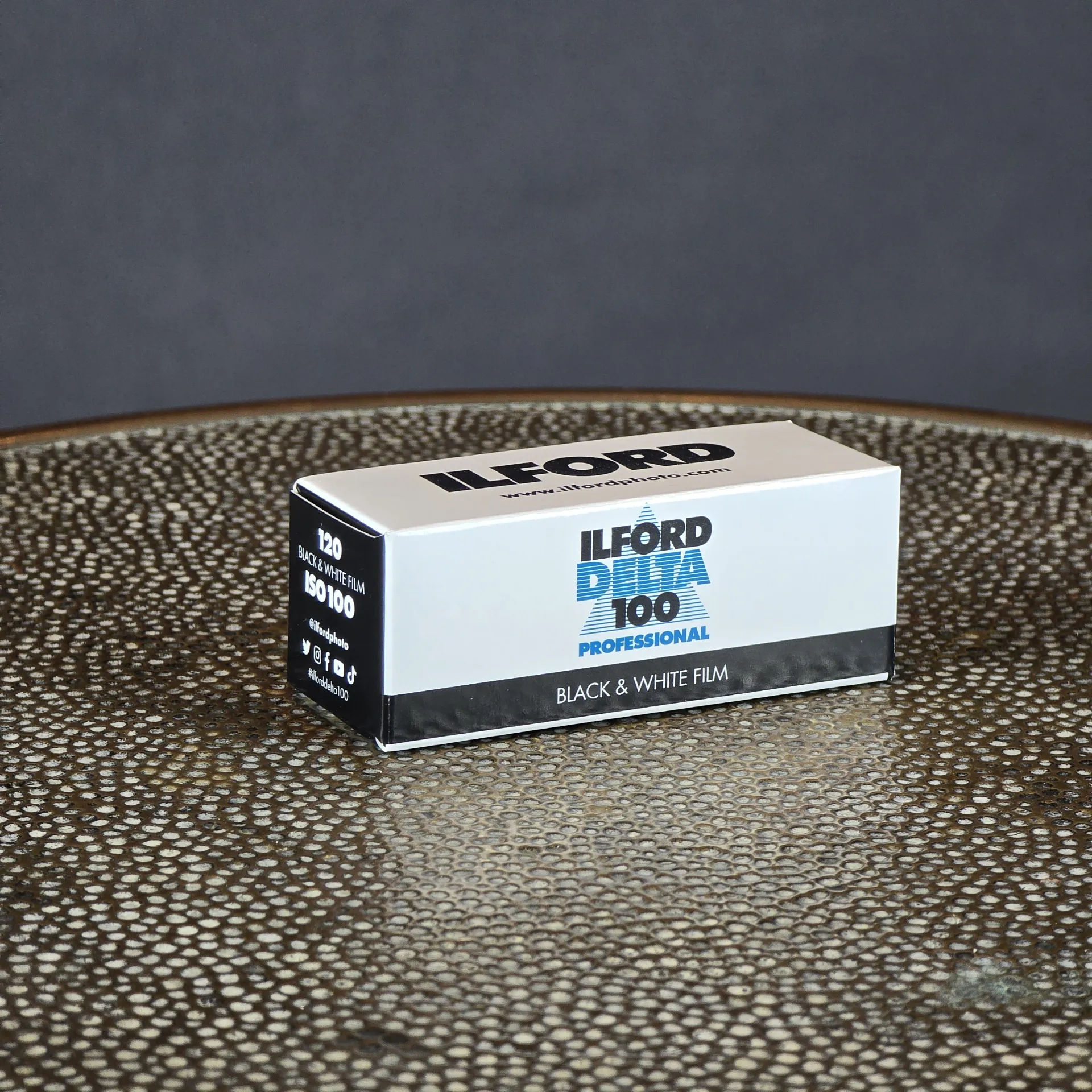 Ilford Delta 100 Pro 120 Roll Film