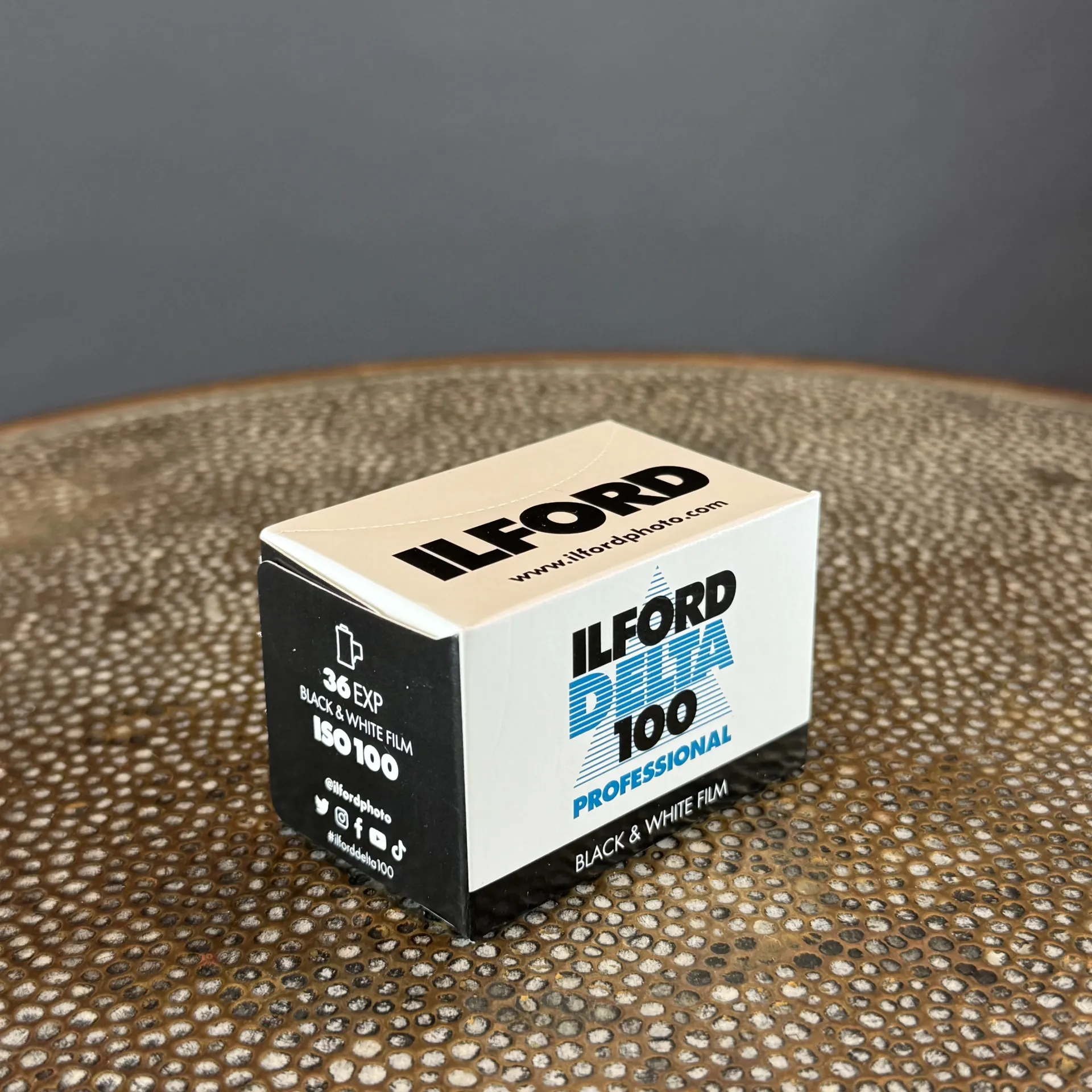 Ilford Delta 100 Professional 135-36