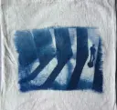 atelier inititiation au cyanotype 20/12
