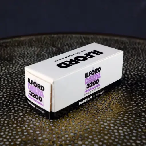 Ilford Delta 3200 Professional 120