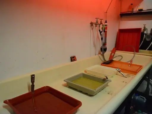 Black and White Darkroom Printing Course