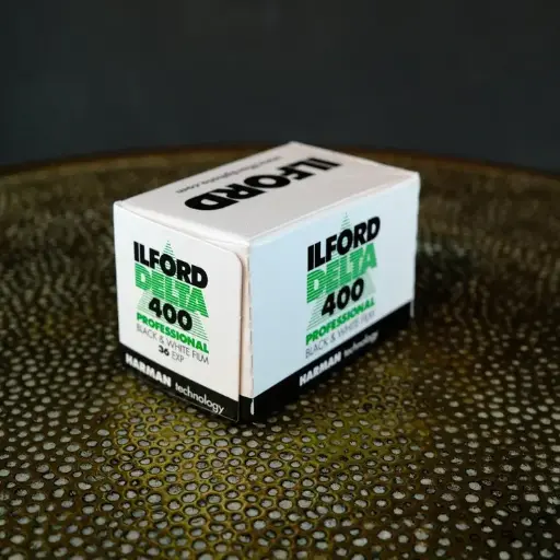 Ilford Delta 400 Professional 120